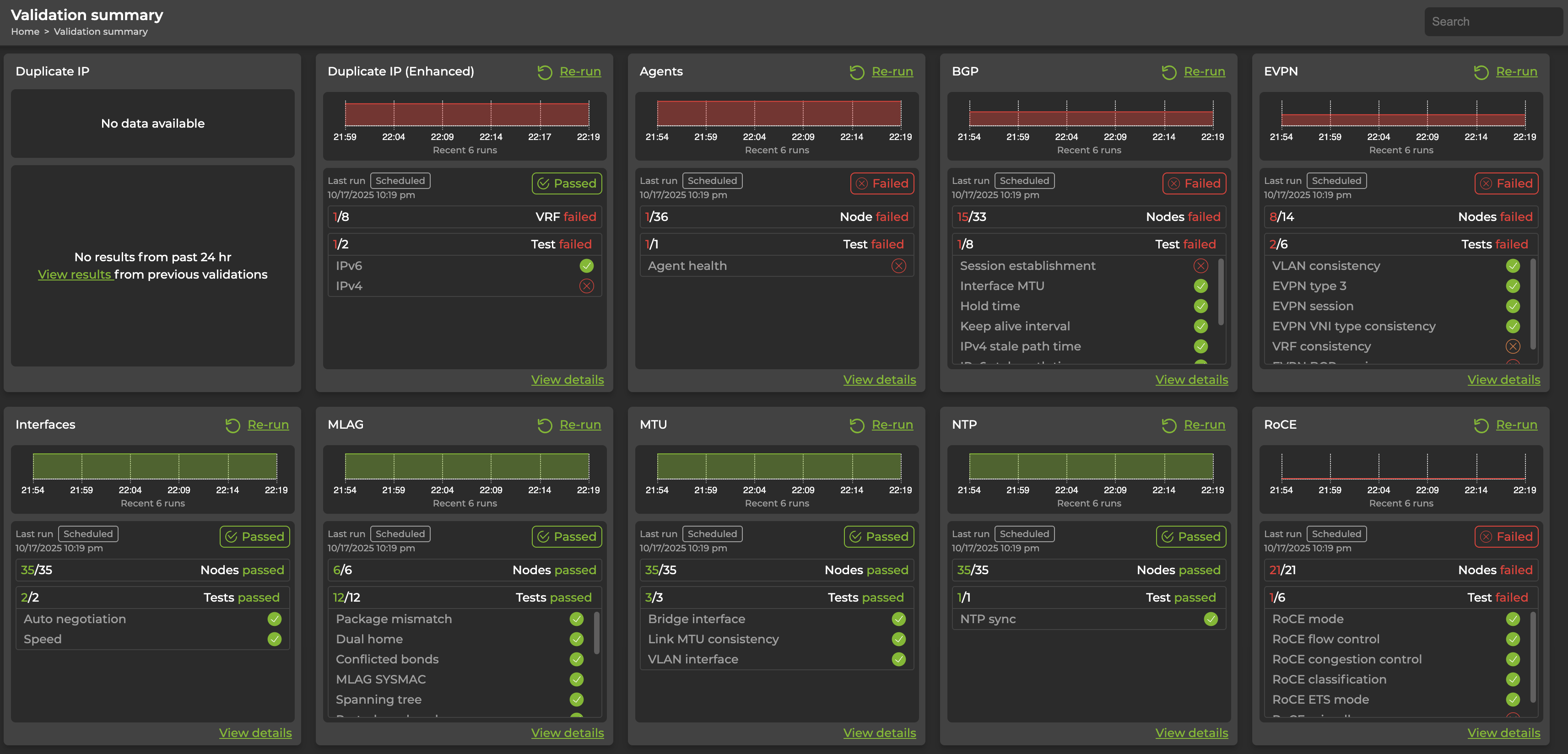 detailed validation summary with individual test results