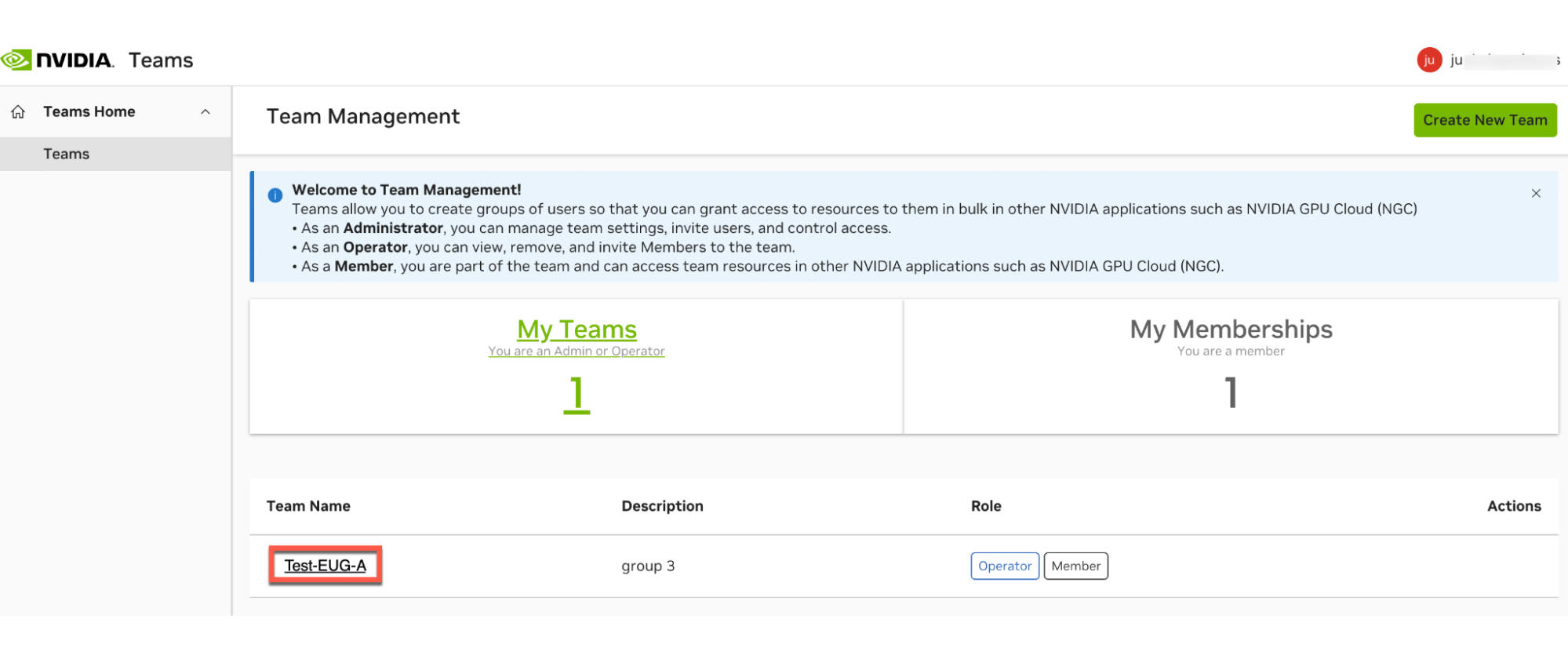 External User Group External User Team Management