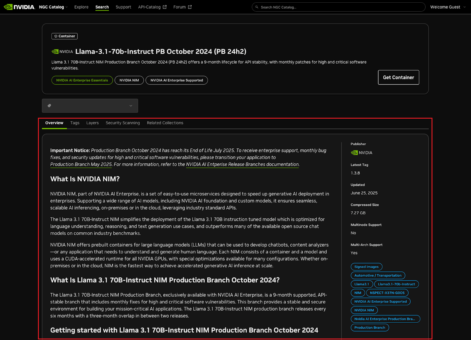 NGC catalog containers NVAIE supported example overview