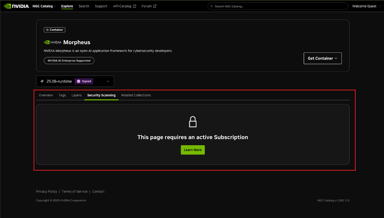 NGC catalog containers NVAIE supported example security tab