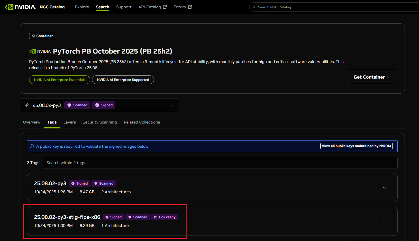 NGC catalog containers government ready tag