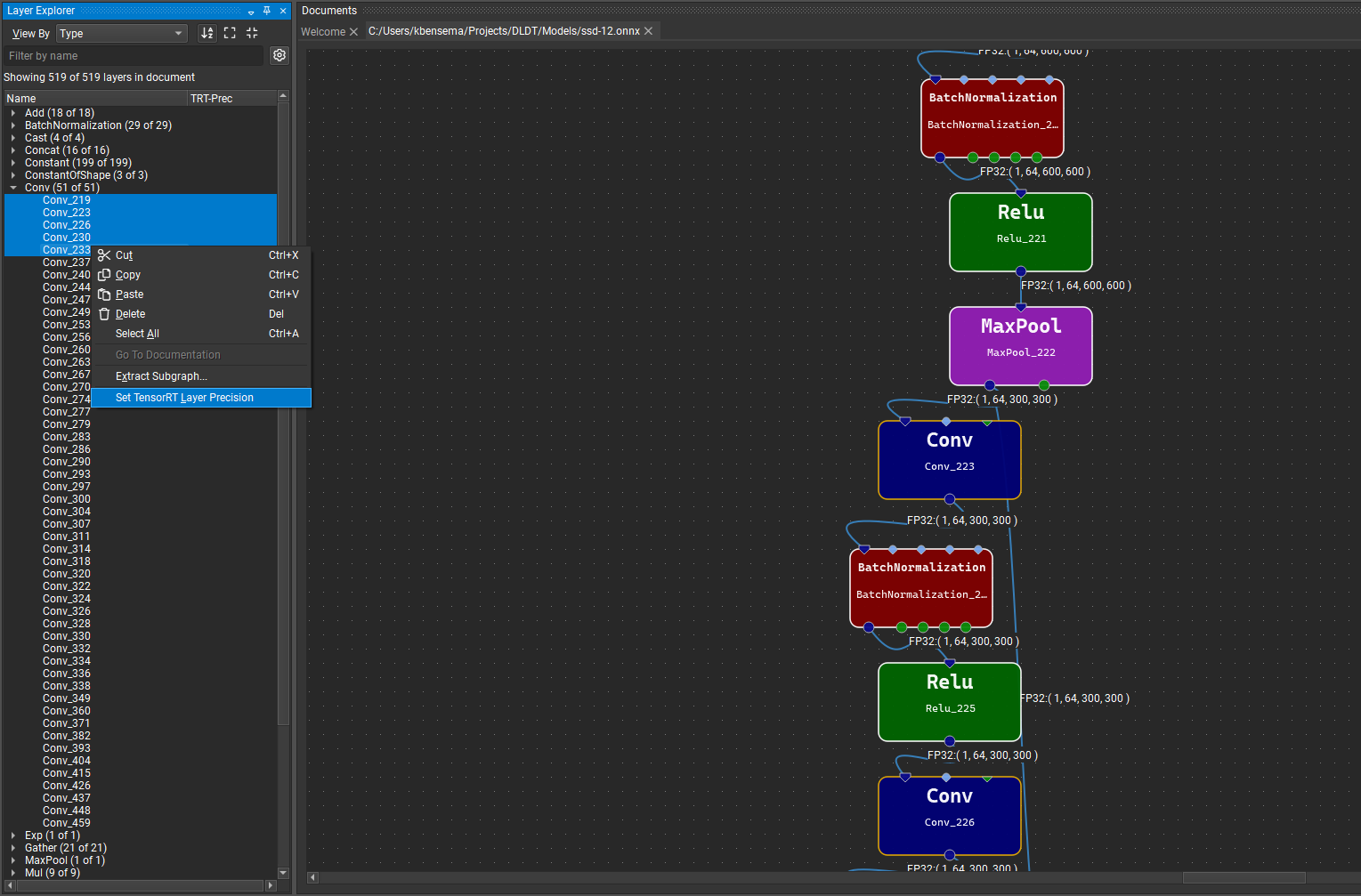 ../_images/layer-precision-context-menu.png