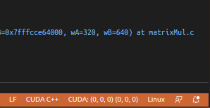 ../_images/cuda-debug-focus-status.png