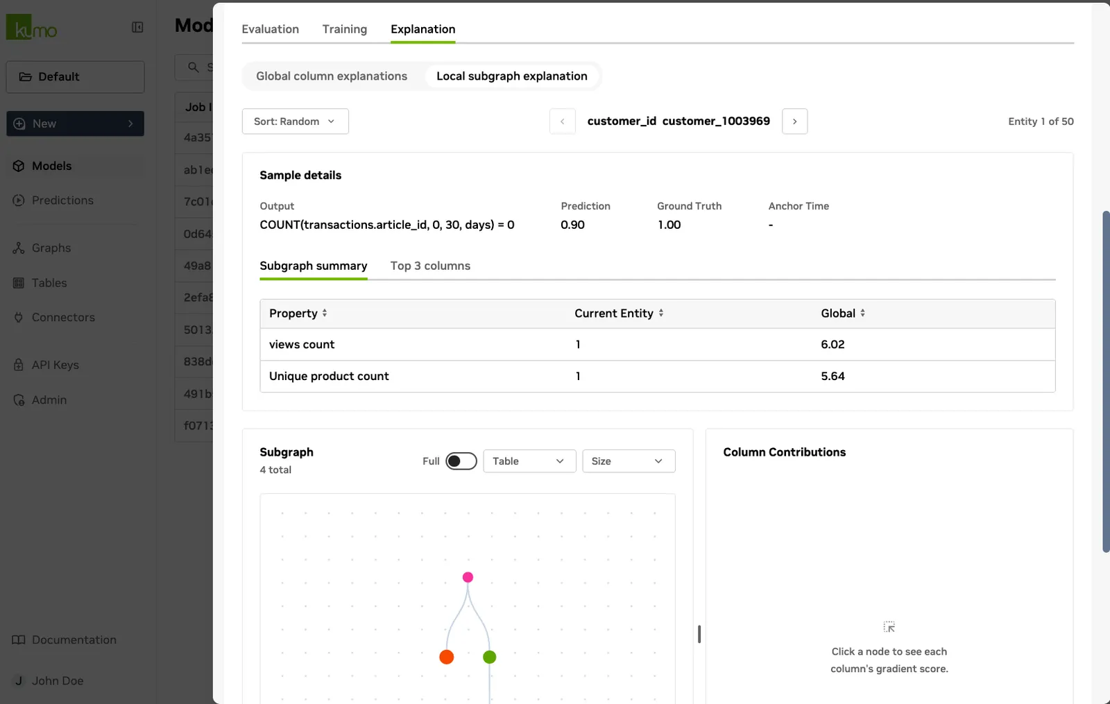 Explanation tab showing entity-level predictions and subgraph visualization