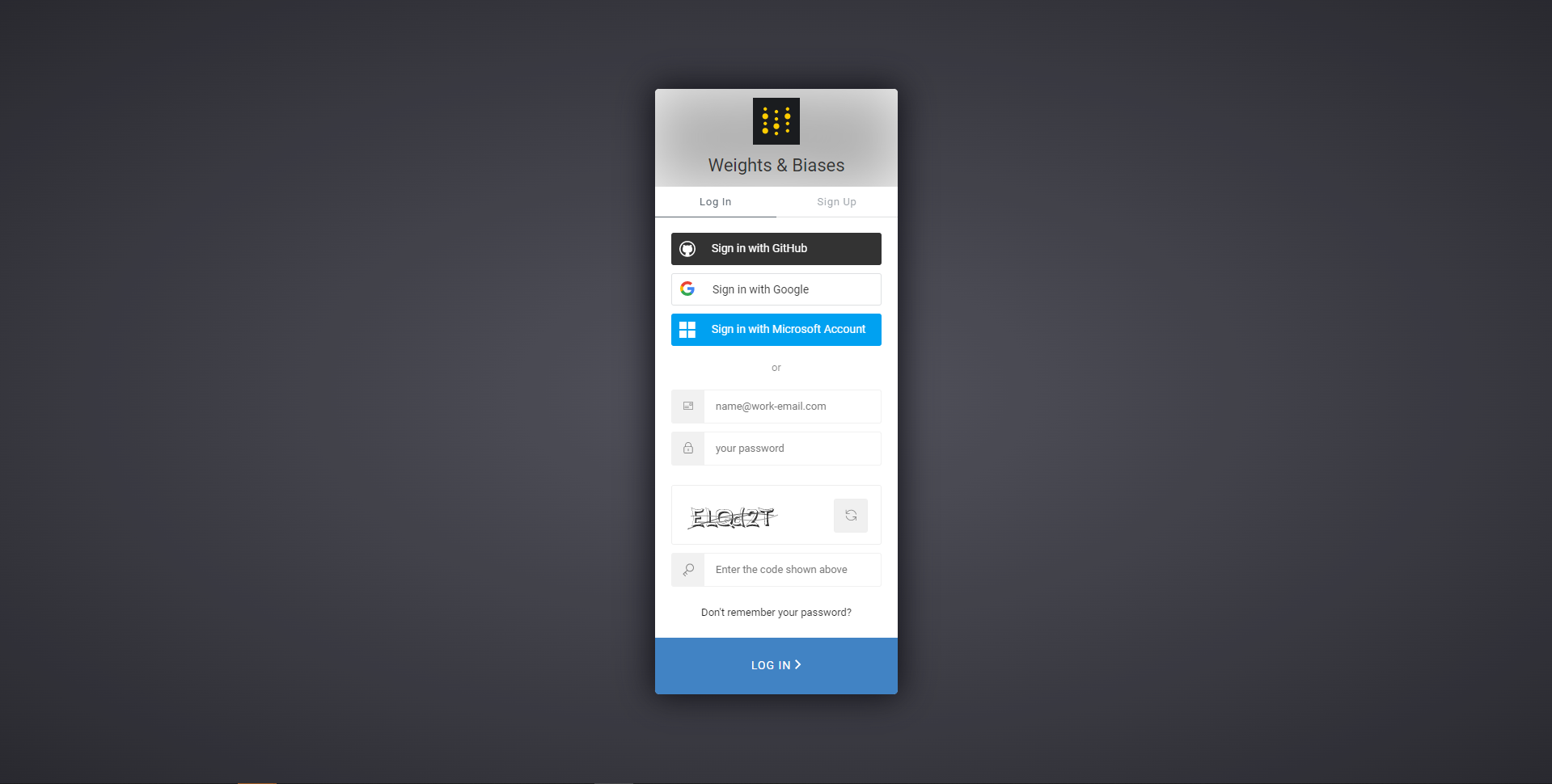 ../../_images/wandb_login.png